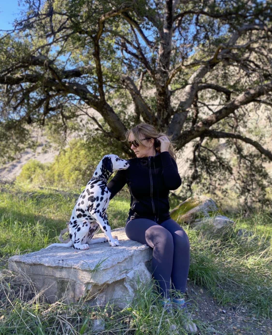 Dawn sitting under oak tree with Dalmatian